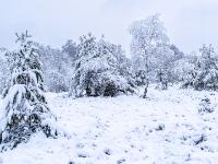 Winterlandschaft im Kendlmühlfilzn